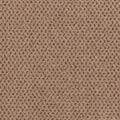 Timeless Effects SmartStrand Carpet - Carling