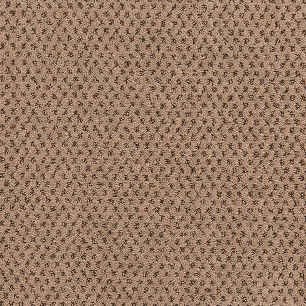 Timeless Effects SmartStrand Carpet - Carling