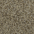 Celestia EverLux Nylon Carpet - Sundial