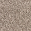 Apollo Bay SmartStrand Carpet - Kipping
