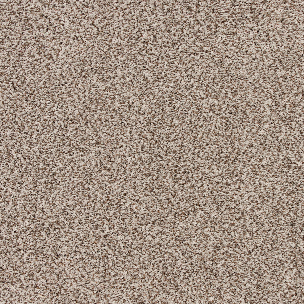 Apollo Bay SmartStrand Carpet - Kipping