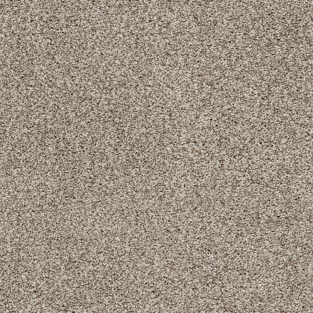 Upscale Elements EverLux Nylon Carpet - Hoot Owl