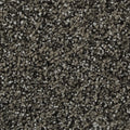 Celestia EverLux Nylon Carpet - Masonry