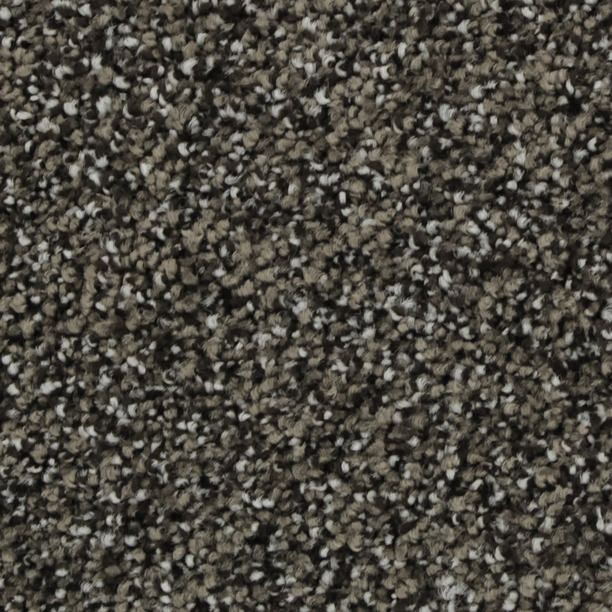 Celestia EverLux Nylon Carpet - Masonry