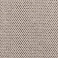 Timeless Effects SmartStrand Carpet - Flair
