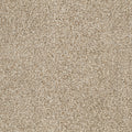 Upscale Elements EverLux Nylon Carpet - Bliss