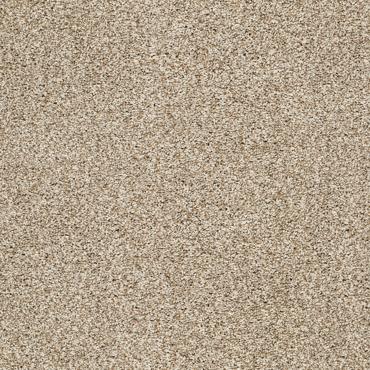 Upscale Elements EverLux Nylon Carpet - Bliss