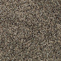 Celestia EverLux Nylon Carpet - Hightower