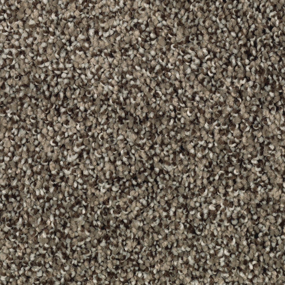 Celestia EverLux Nylon Carpet - Hightower