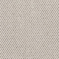 Timeless Effects SmartStrand Carpet - Original