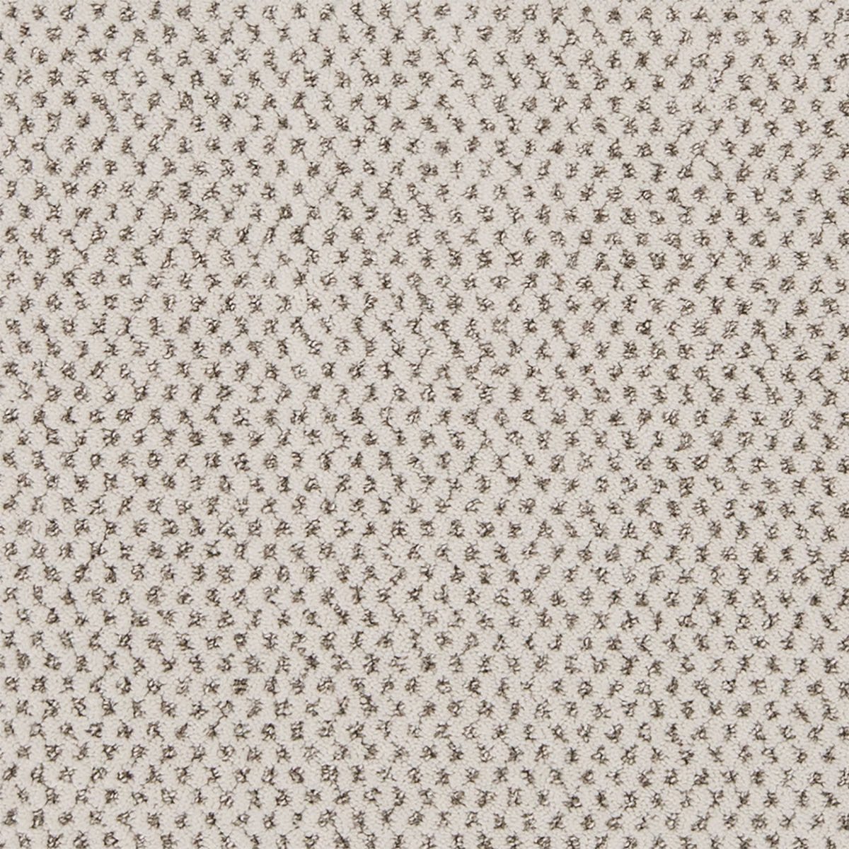 Timeless Effects SmartStrand Carpet - Original