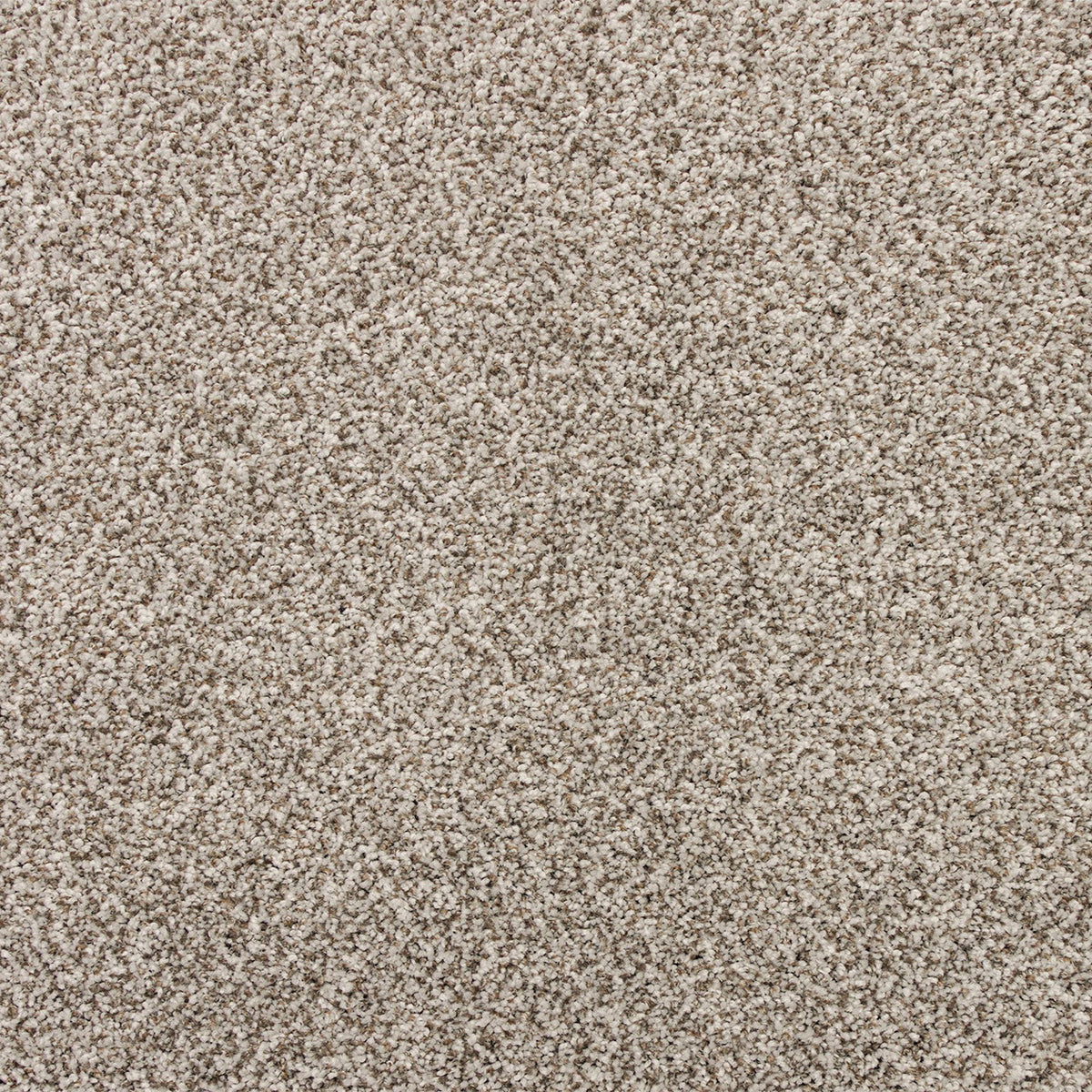 Nelson Bay SmartStrand Carpet - Canomii