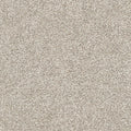 Upscale Elements EverLux Nylon Carpet - Cancun