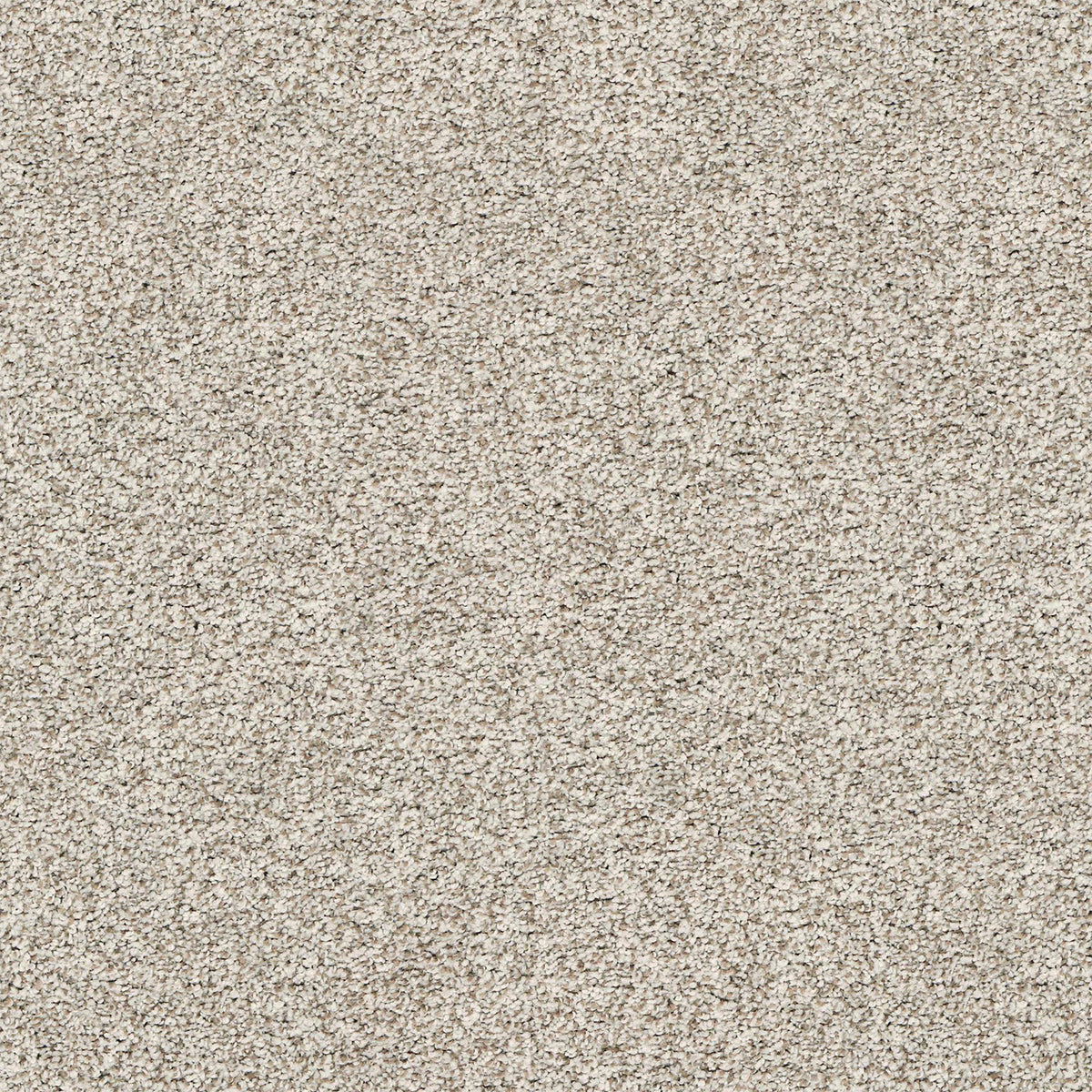 Upscale Elements EverLux Nylon Carpet - Cancun