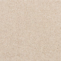 Apollo Bay SmartStrand Carpet - Track