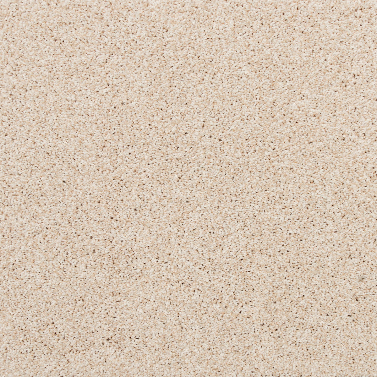 Apollo Bay SmartStrand Carpet - Track
