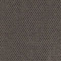 Timeless Effects SmartStrand Carpet - Abalone