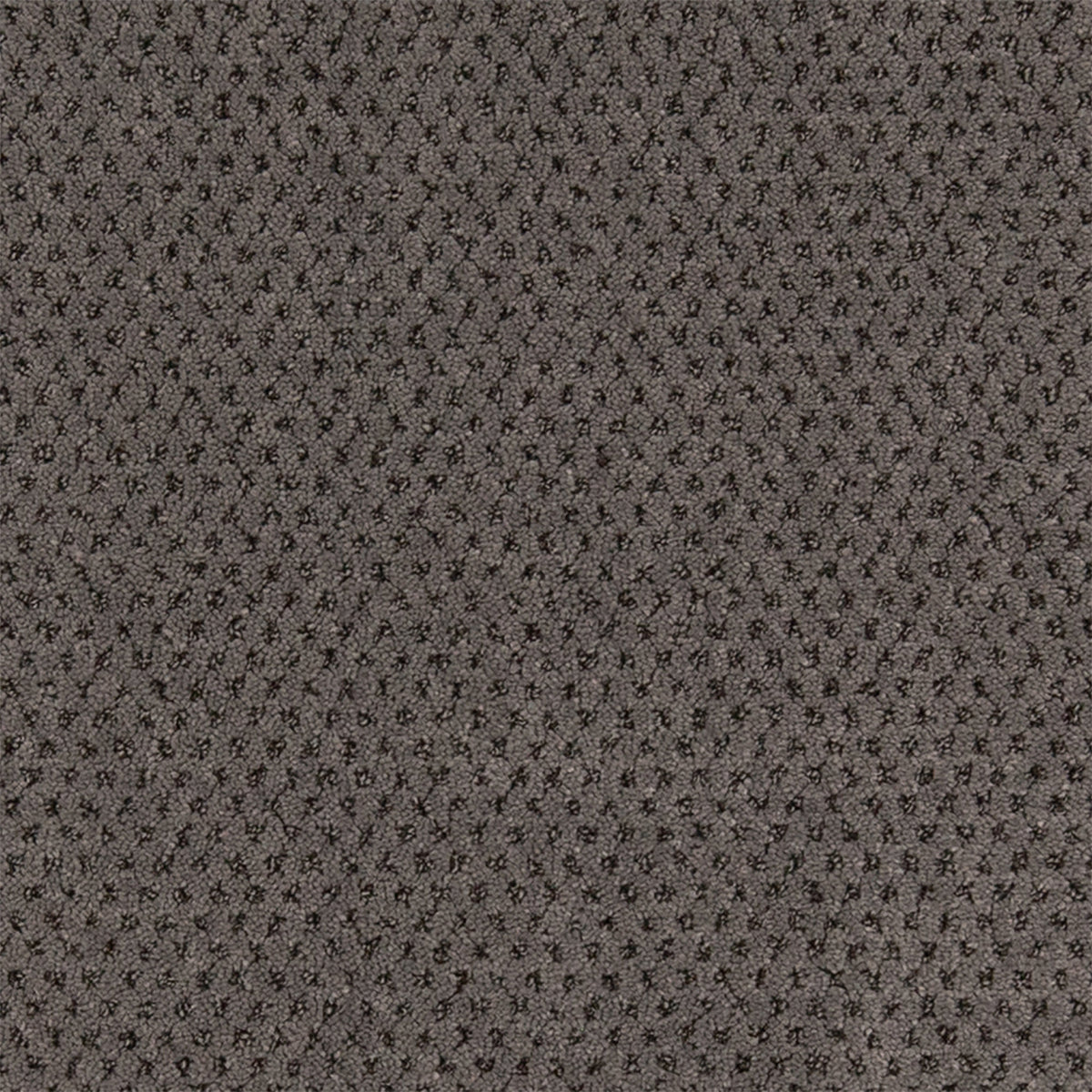 Timeless Effects SmartStrand Carpet - Abalone