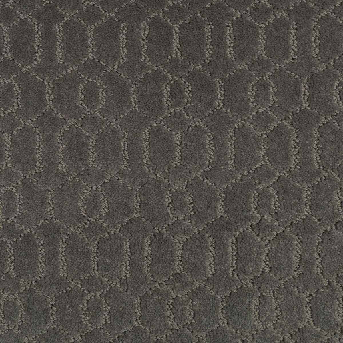 Delicate Tracery SmartStrand Carpet - Ironstone