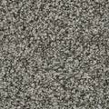 Celestia EverLux Nylon Carpet - Stone Passage