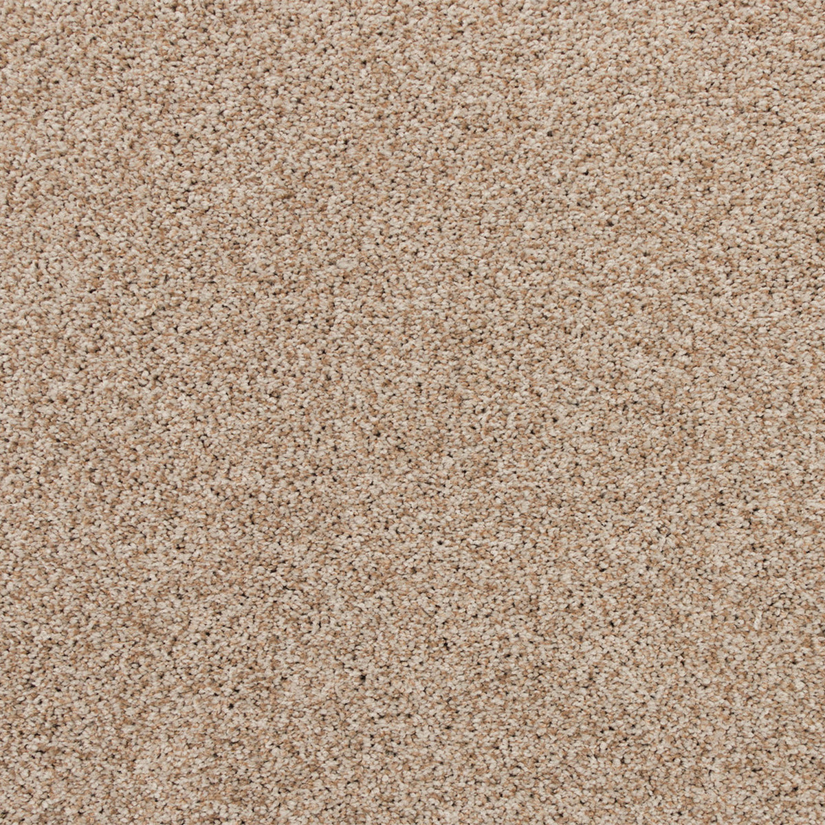 Apollo Bay SmartStrand Carpet - Jillian