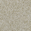 Celestia EverLux Nylon Carpet - Pristine