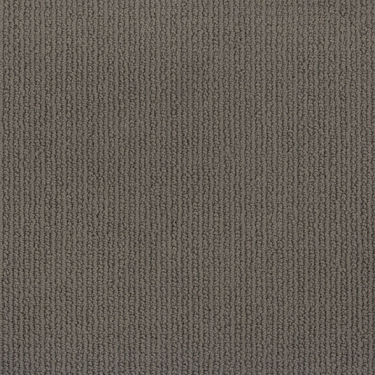 Enduring Statement SmartStrand Carpet - City Loft