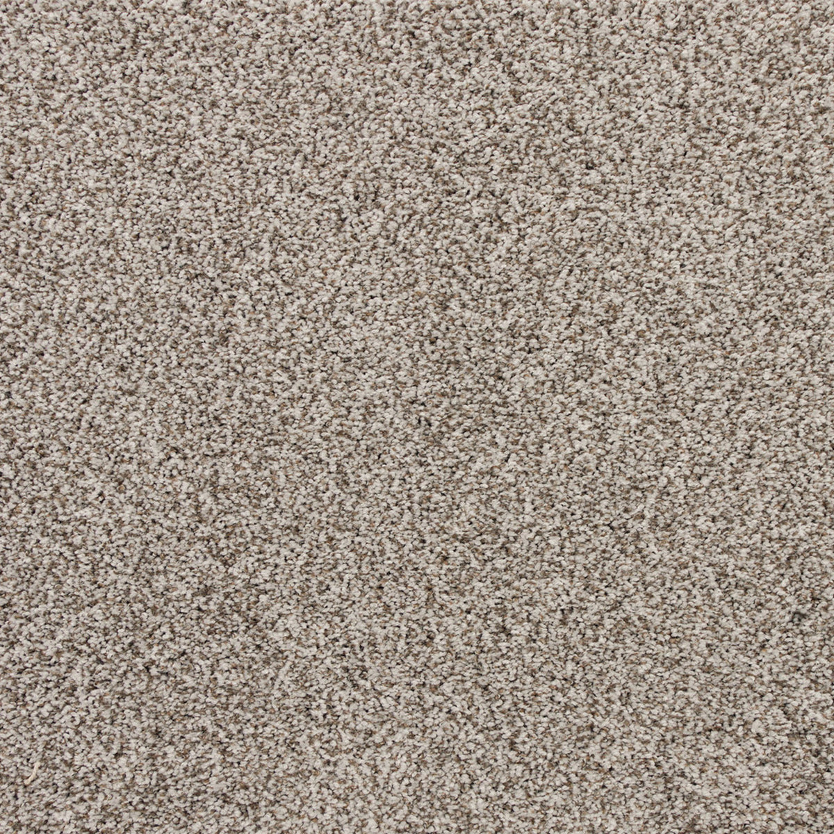 Apollo Bay SmartStrand Carpet - Marriners
