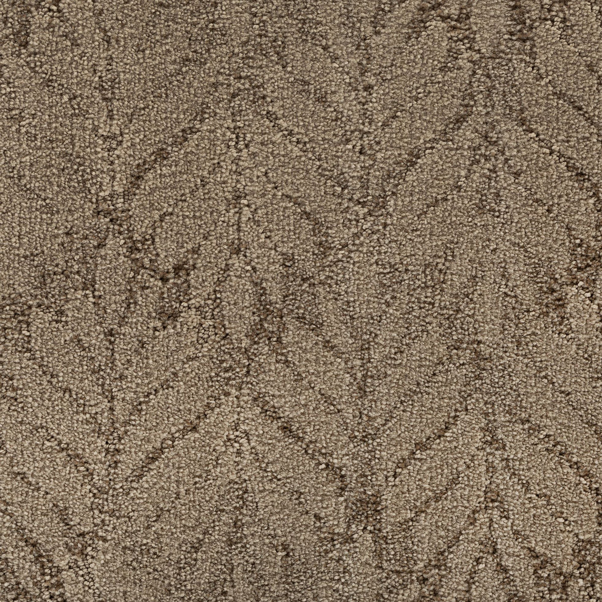 Dramatic Features EverLux Nylon Carpet - Toasted Almond