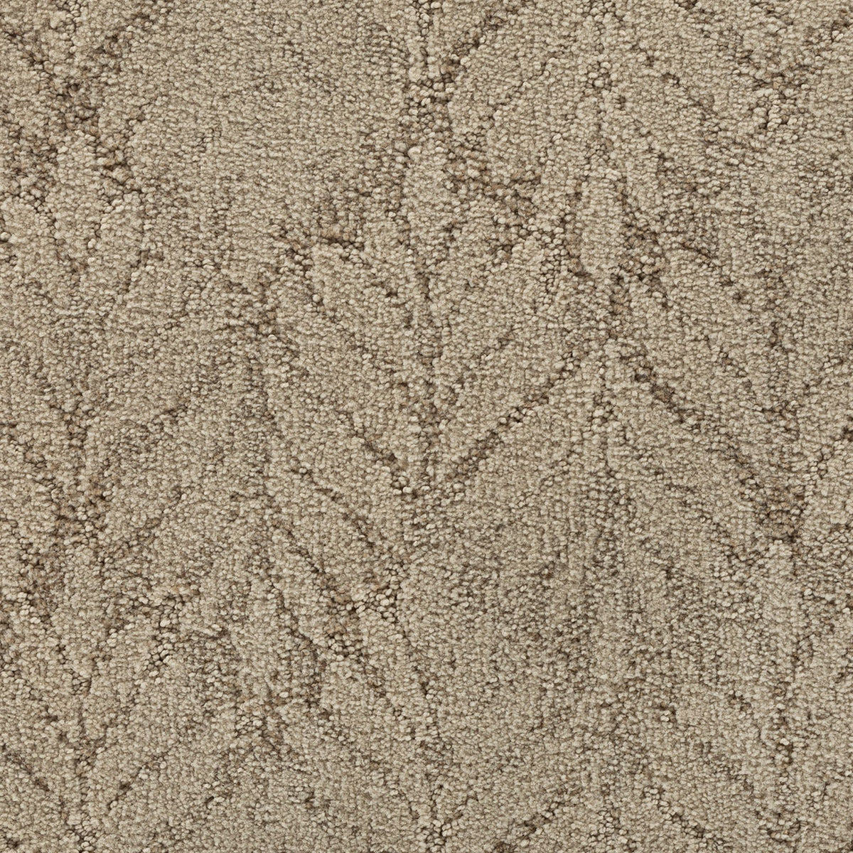 Dramatic Features EverLux Nylon Carpet - Dignified