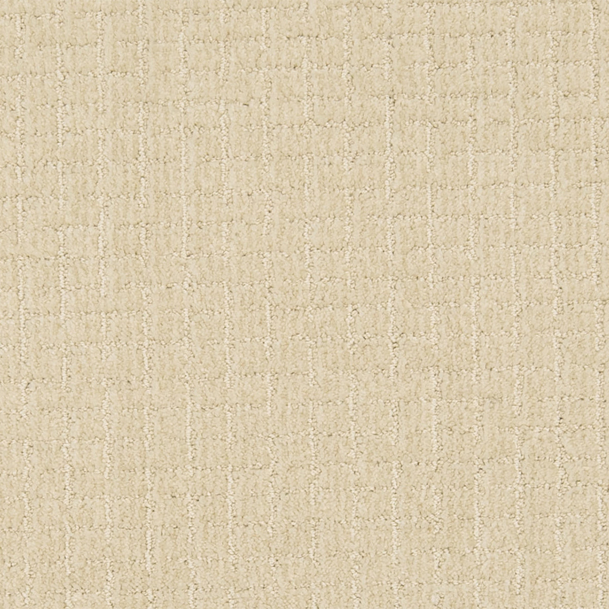 Modernity SmartStrand Carpet - Wiley