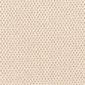 Timeless Effects SmartStrand Carpet - Classic