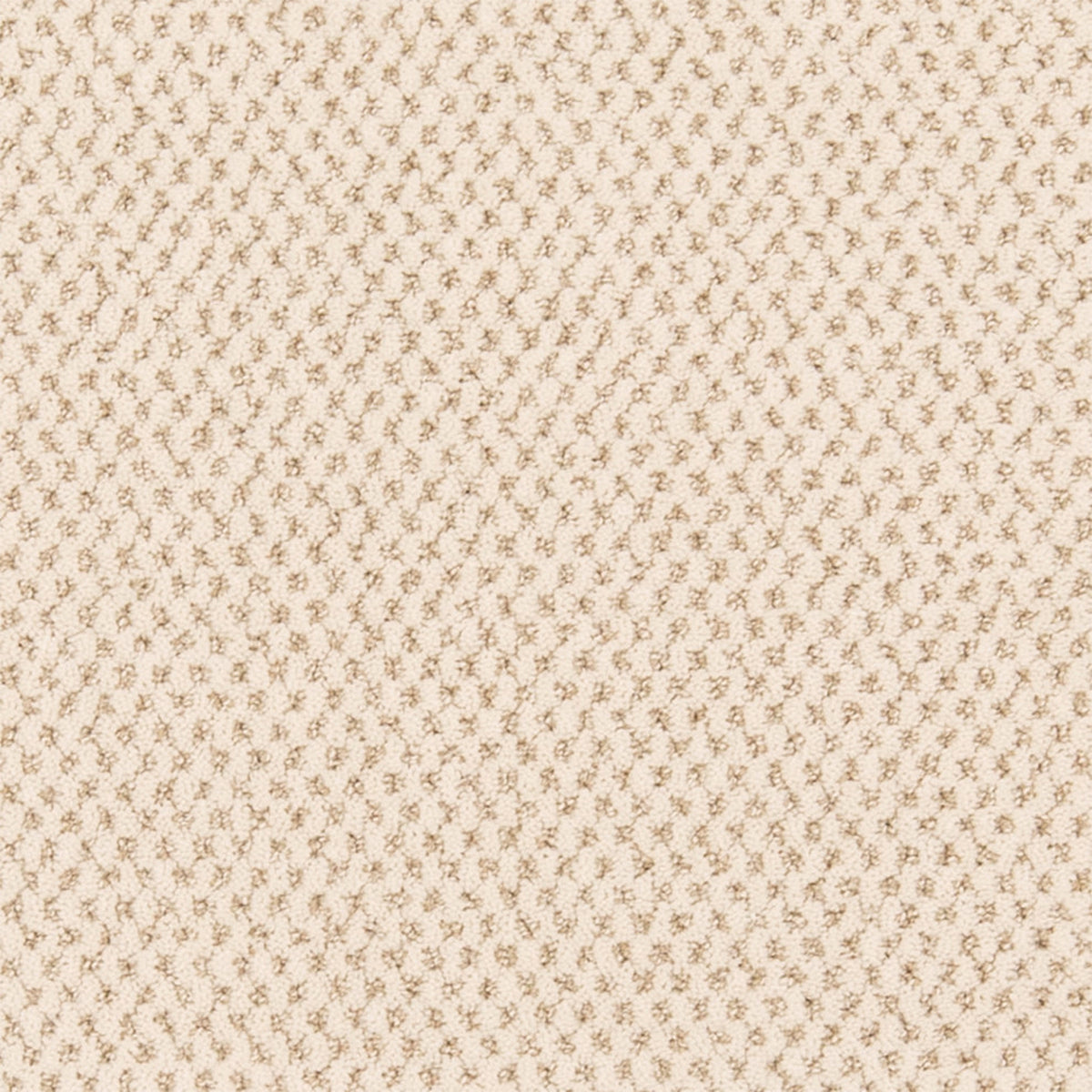 Timeless Effects SmartStrand Carpet - Classic