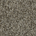Celestia EverLux Nylon Carpet - Harmony