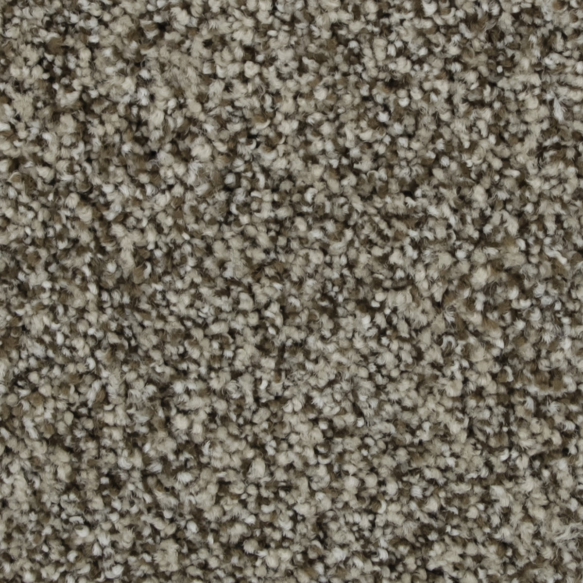Celestia EverLux Nylon Carpet - Harmony