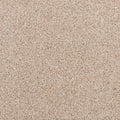Apollo Bay SmartStrand Carpet - Costin