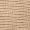 Timeless Effects SmartStrand Carpet - Mason