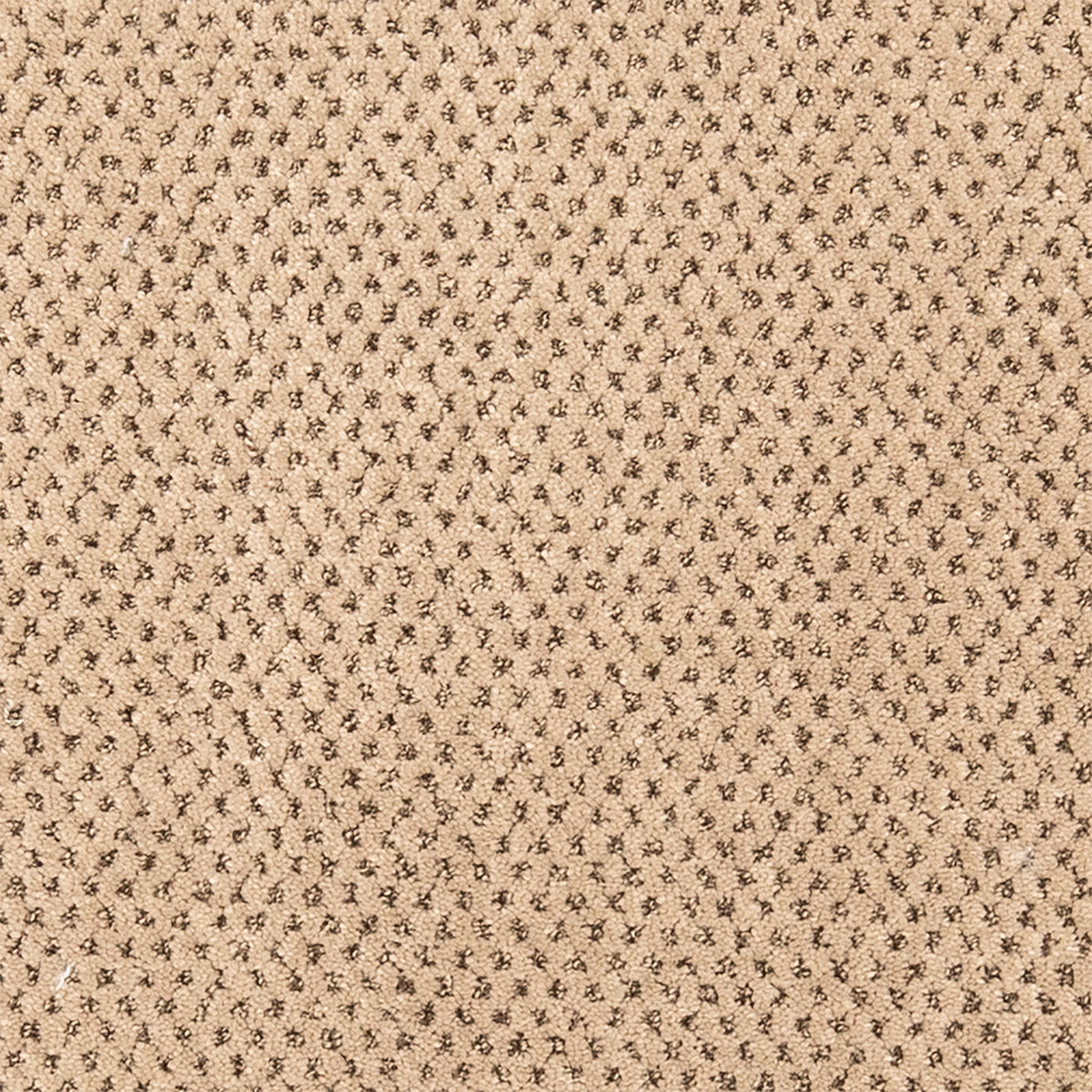 Timeless Effects SmartStrand Carpet - Mason