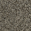 Celestia EverLux Nylon Carpet - Antique