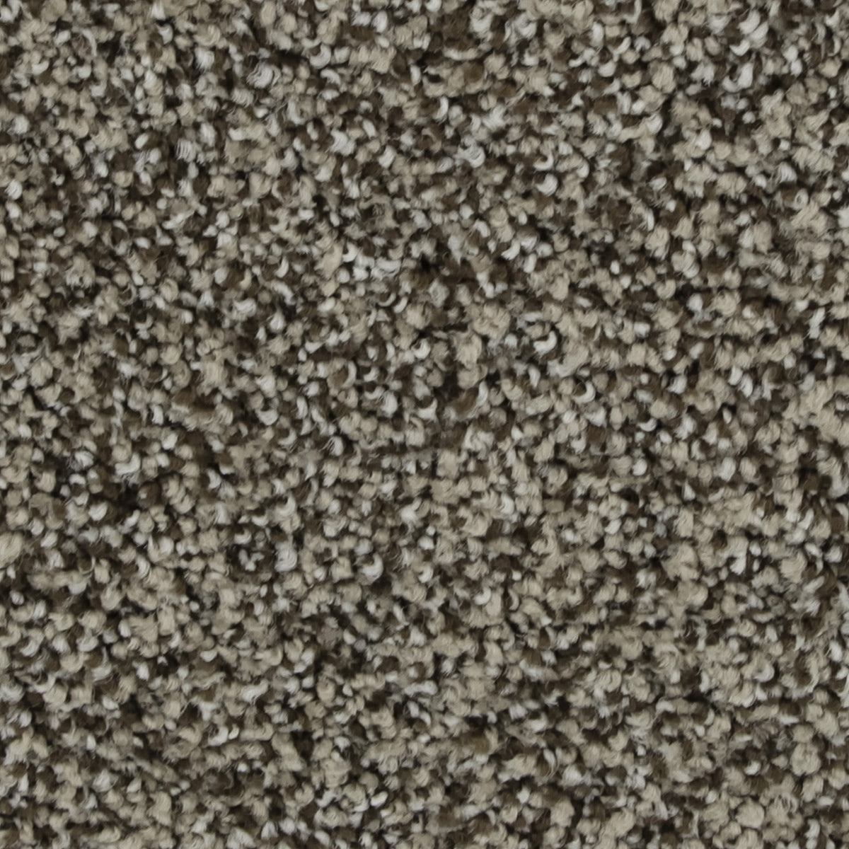 Celestia EverLux Nylon Carpet - Antique
