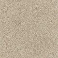 Upscale Elements EverLux Nylon Carpet - Pathfinder