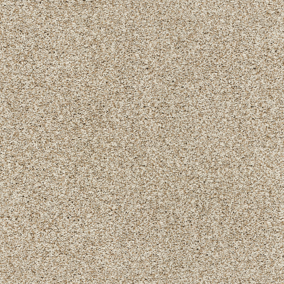Upscale Elements EverLux Nylon Carpet - Pathfinder