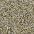 Celestia EverLux Nylon Carpet - Radiance
