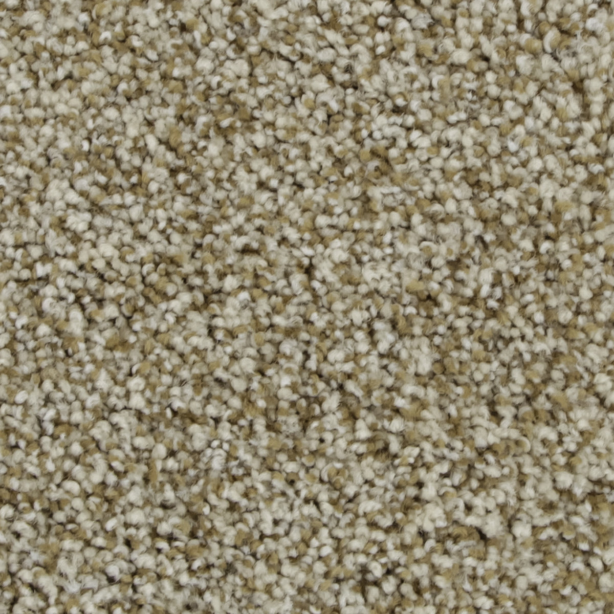 Celestia EverLux Nylon Carpet - Radiance