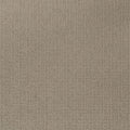 Enduring Statement SmartStrand Carpet - Carved Stone
