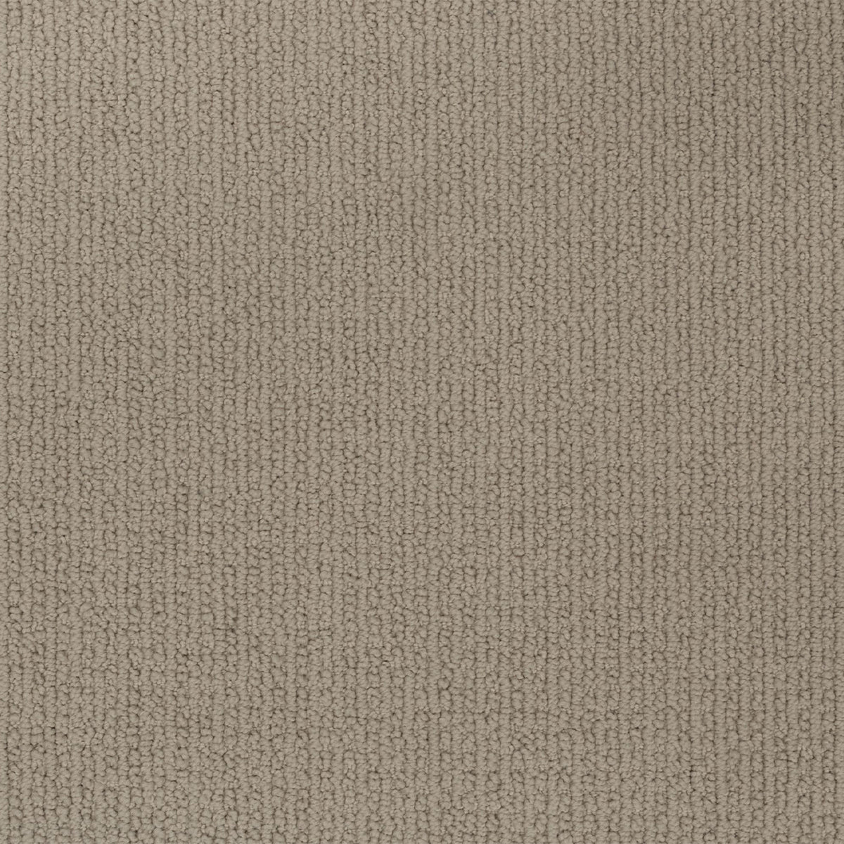 Enduring Statement SmartStrand Carpet - Carved Stone