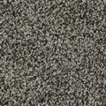 Celestia EverLux Nylon Carpet - Legend