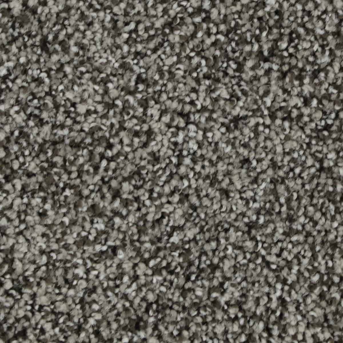 Celestia EverLux Nylon Carpet - Legend