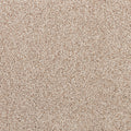 Apollo Bay SmartStrand Carpet - Foran