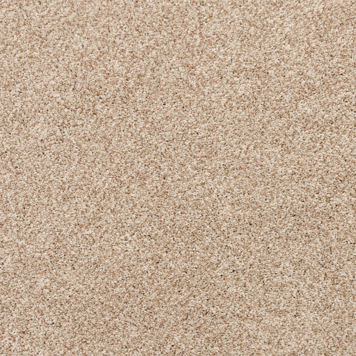 Nelson Bay SmartStrand Carpet - Beenong